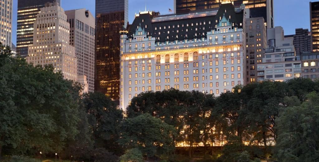 the plaza central park e1673973193726